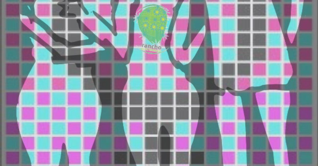 autodefensa digital feminista