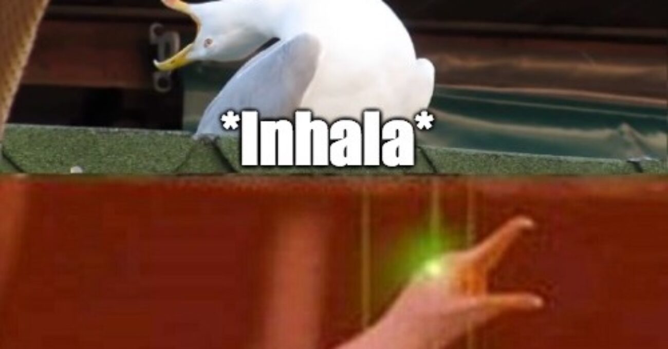 meme_politicadeprivacidad