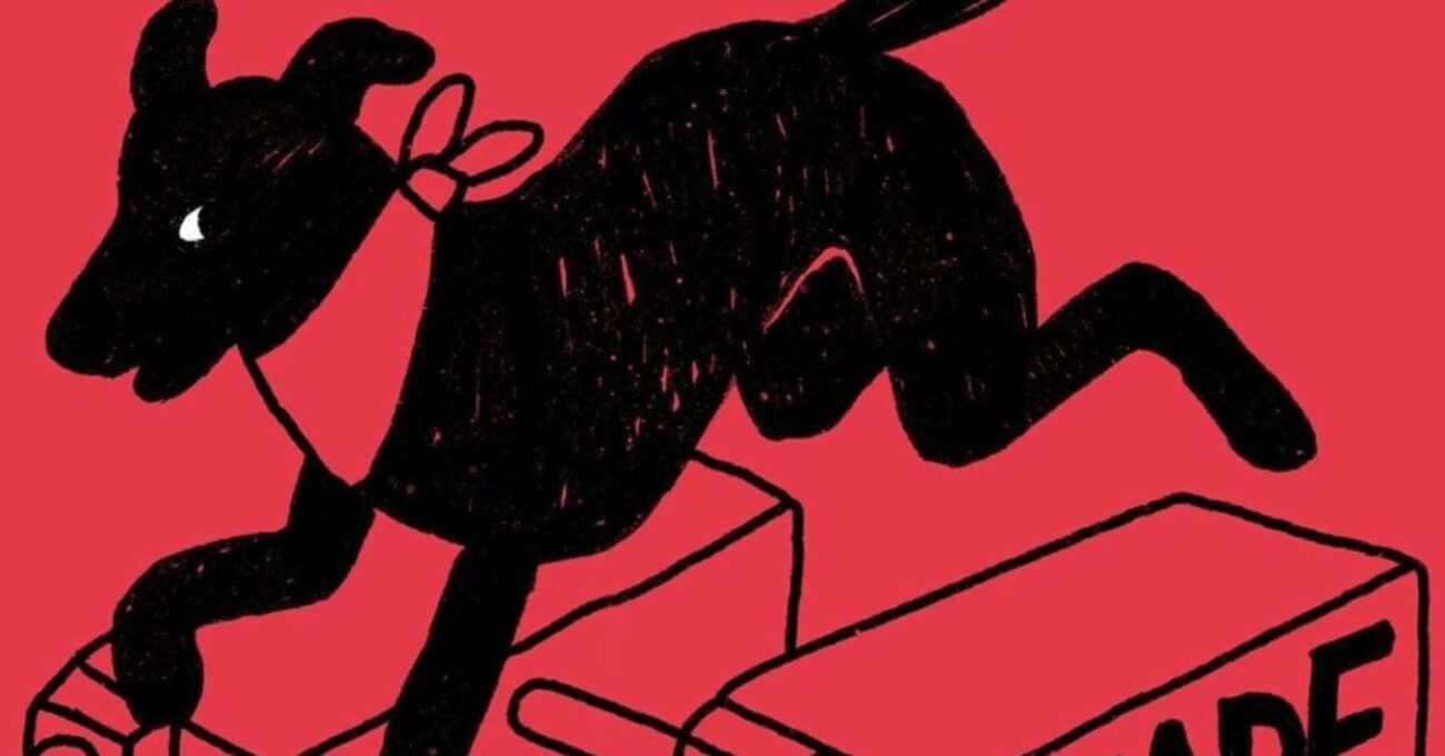 perro_protesta_chiile