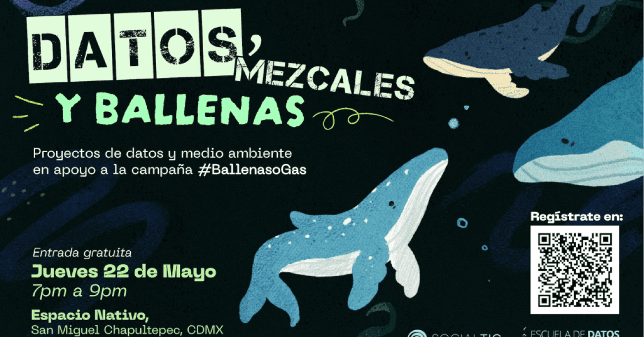Datos mezcales y ballenas, proyectos de datos de medio ambiente