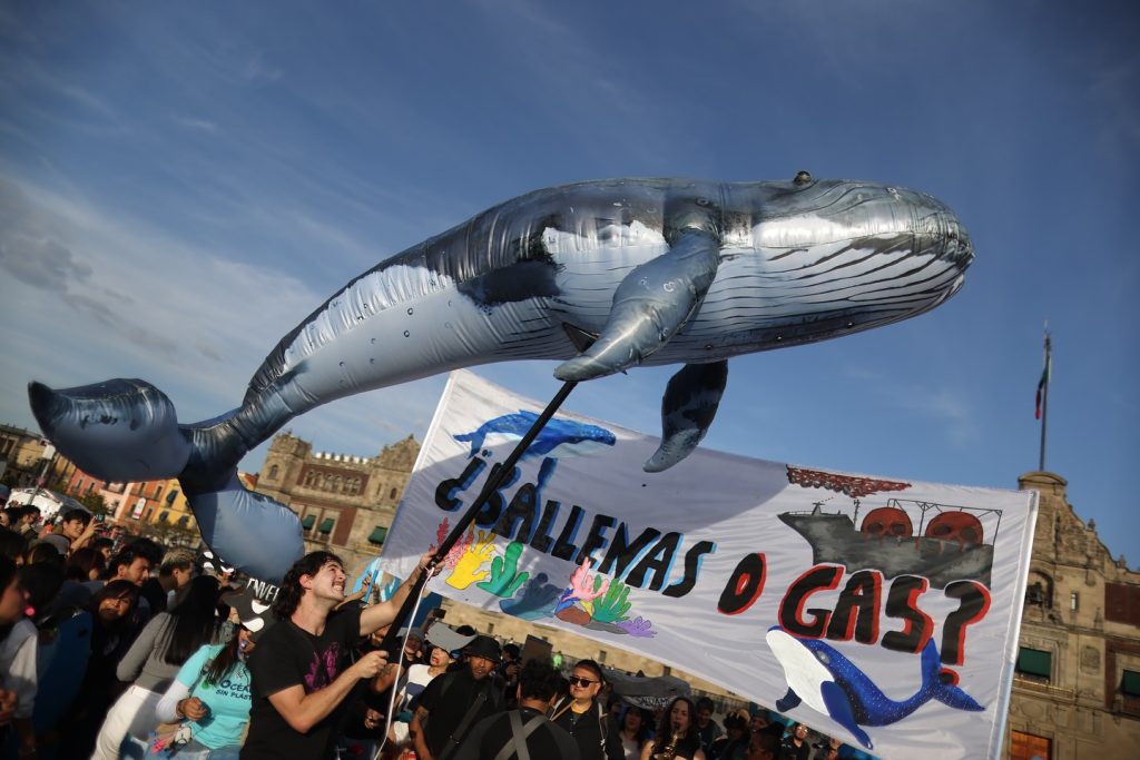 imagen d una ballena gigante en el zócalo de ciudad de méxico durante el Ballena fest.